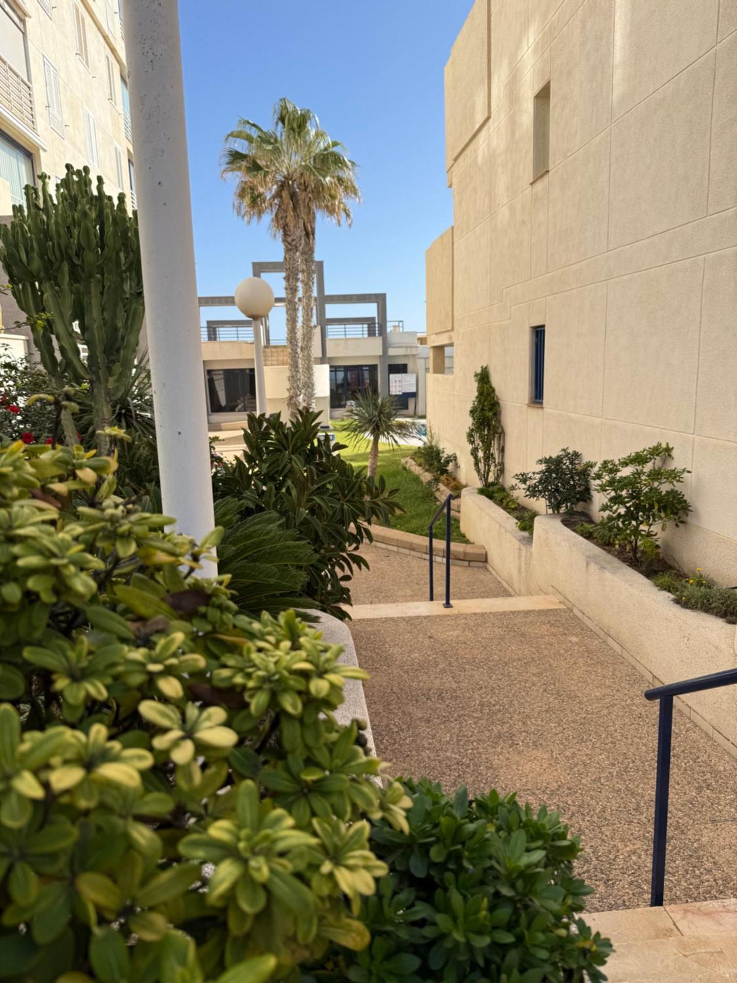 Torrevieja La Mata Primera Linea Playa מראה חיצוני תמונה